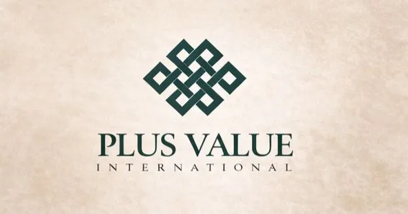 plusvalueindia logo